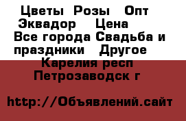Цветы. Розы.  Опт.  Эквадор. › Цена ­ 50 - Все города Свадьба и праздники » Другое   . Карелия респ.,Петрозаводск г.